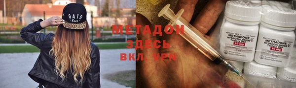 ГАЛЛЮЦИНОГЕННЫЕ ГРИБЫ Богданович