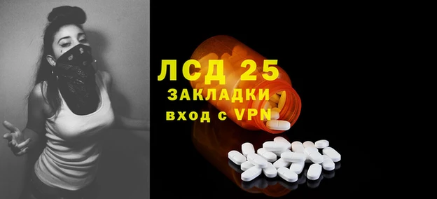ГАЛЛЮЦИНОГЕННЫЕ ГРИБЫ Богданович