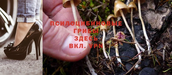 ALPHA PVP Белокуриха