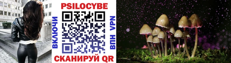 Псилоцибиновые грибы GOLDEN TEACHER  Гусев 